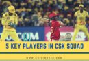 5 Key Players of CSK IPL 2020