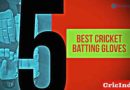 best cricket batting gloves online