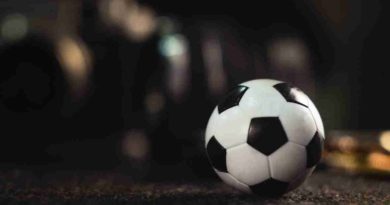 best sports for sports betting