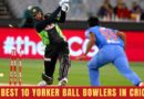best yorker bowlers in cricket