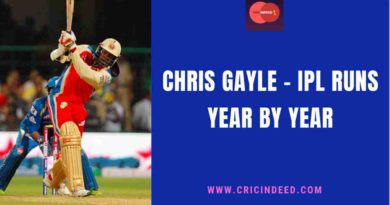 chris gayle yearwise ipl runs