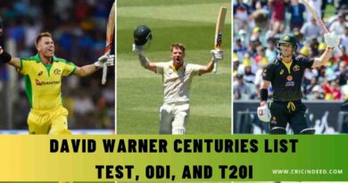 David Warner Centuries List in Test, ODI, and T20I