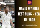 david warner test runs yearwise