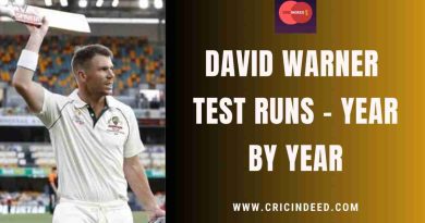 david warner test runs yearwise
