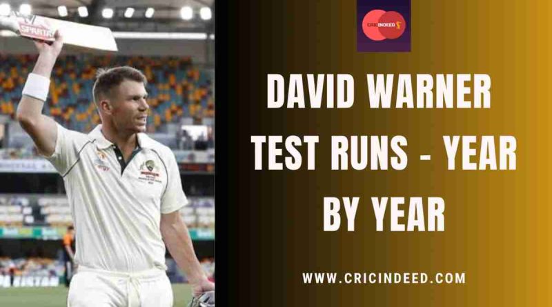 david warner test runs yearwise