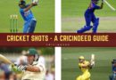 different types of cricket shots with images