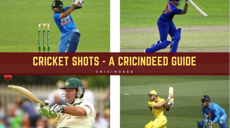 different types of cricket shots with images