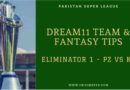 Dream11 Team PZ vs KK Eliminator