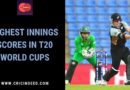 highest score in t20 world cup