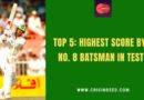 highest test score by a number 8 batsman