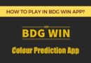 how to play bdg win app