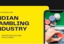 INDIAN GAMBLING INDUSTRY OPPORTUNITIES