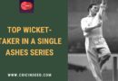 most ashes wickets in a series