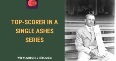 most runs in a single ashes series