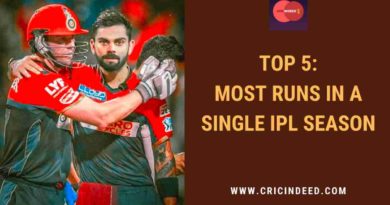 most runs in a single ipl season