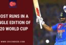 most runs in a single t20 world cup