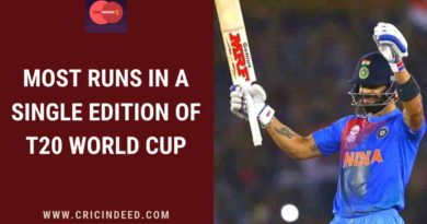 most runs in a single t20 world cup