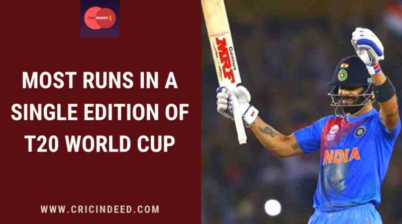 most runs in a single t20 world cup