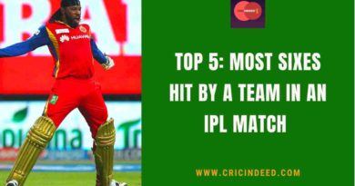 most sixes hit by a team in an ipl match