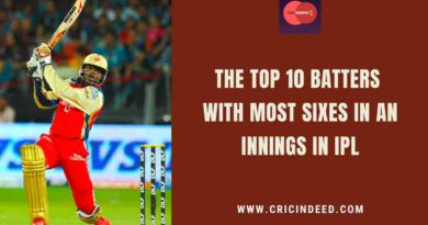 most sixes in an innings in ipl