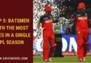 list of batsmen with most sixes in single ipl edition