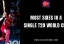 most sixes in one t20 world cup