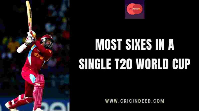 most sixes in one t20 world cup