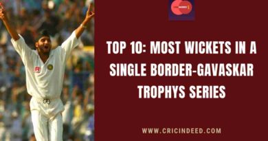 most wickets in a single bgt series