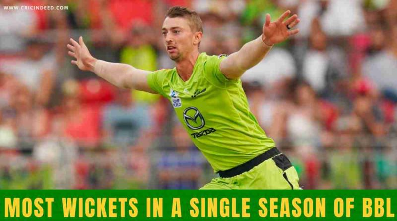 most wickets in a single season of bbl