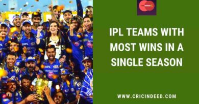 most wins in a single ipl season