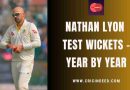 nathan lyon test wickets yearwise