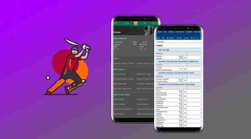 online cricket betting apps explained