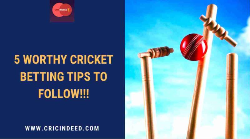 online cricket betting tips