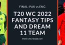 pak vs eng dream11 predictions t20 world cup 2022 final