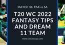 pak vs sa dream11 predictions