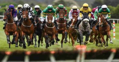 How to Pick Your Winning Horse