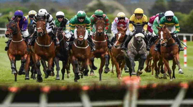 How to Pick Your Winning Horse