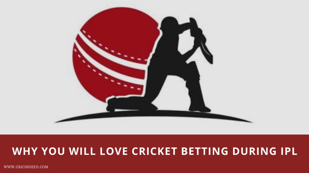 Reasons you love cricket betting