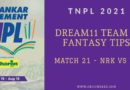 NRK vs DD Match Preview and Dream11 Tips