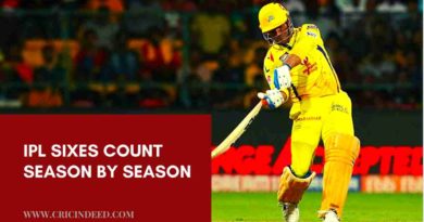 ipl season wise sixes count