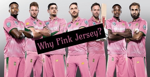 South Africa Players in Pink Jersey