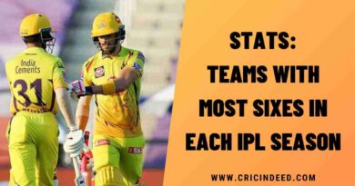 Stats: Teams with Most Sixes in Each IPL Season