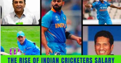 the rise of indian cricket salary