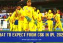 What to Expect from CSK in IPL 2020?