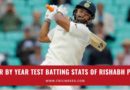 year by year test runs of rishabh pant