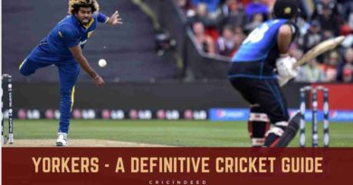 yorkers in cricket explained