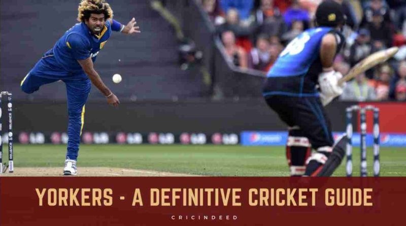 yorkers in cricket explained